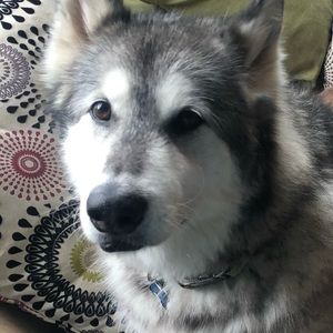 Meet your Posher, Jim